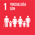 SDG 1