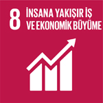 SDG 8