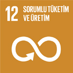 SDG 12