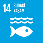 SDG 14