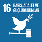 SDG 16