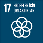 SDG 17