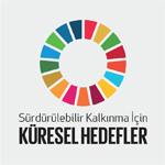 SDG logo