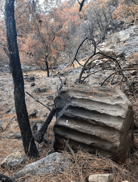 Marmaris Orman Yangını (Fotoğraf: Tolga Gök)