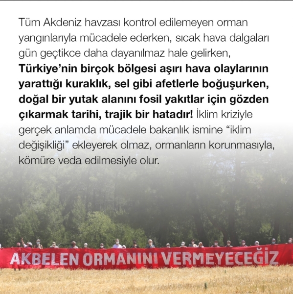308 Kurumdan Ortak Açıklama: Akbelen Ormanındaki Abluka Kaldırılsın, Kesim Kararı Durdurulsun!