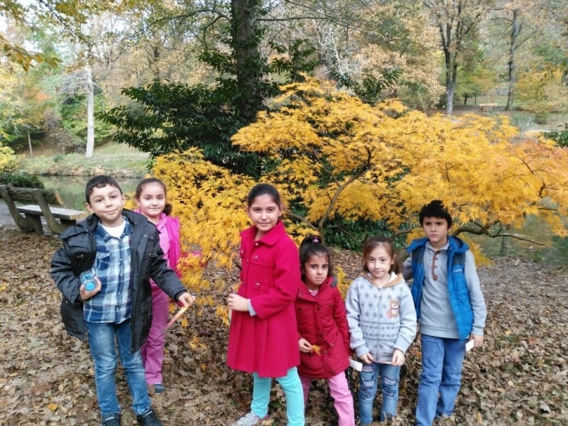 Çocuklar Atatürk Arboretum&amp;#039;da doğayla buluştular