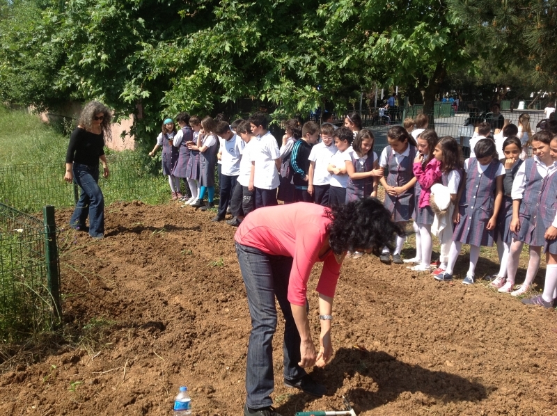 Domates biberle canlanan okul bahçeleri