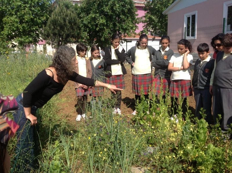 Domates biberle canlanan okul bahçeleri