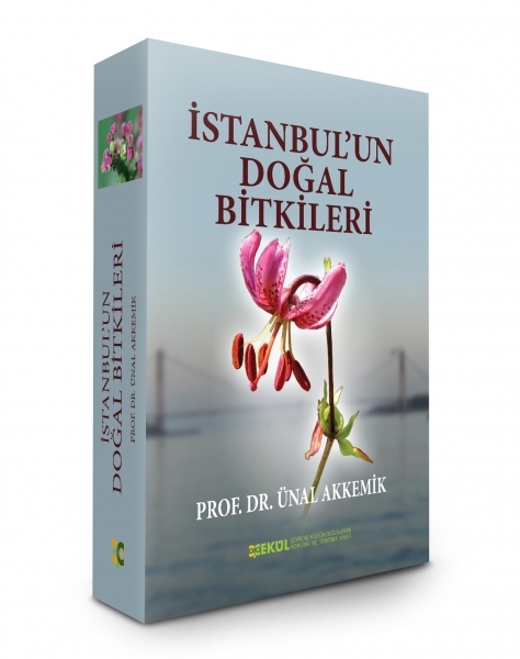 İstanbul’un Doğal Bitkileri