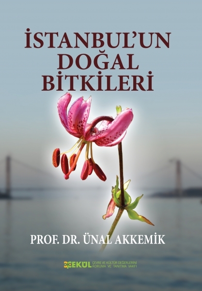 İstanbul’un Doğal Bitkileri