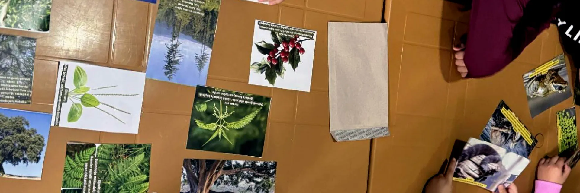 Çocuklar doğa atölyelerinde buluştu