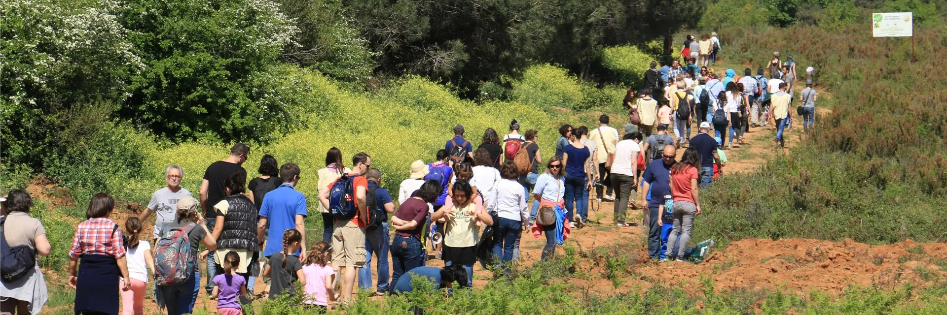 Bir Ormanımız Daha Olsun
