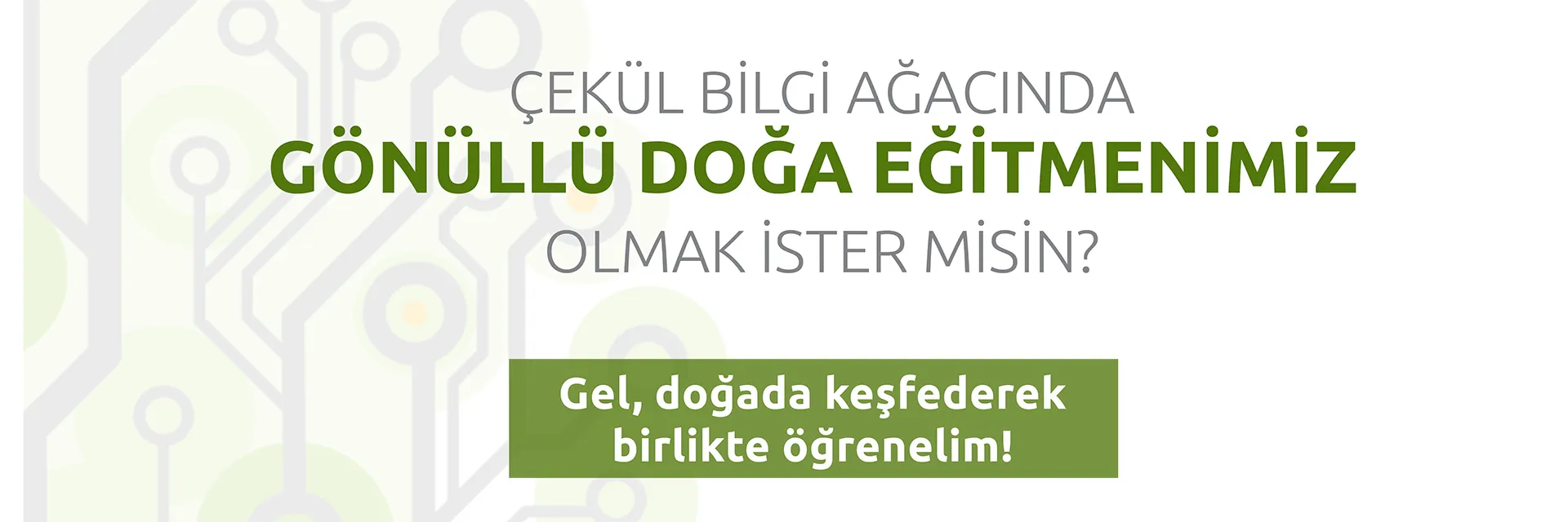 ÇEKÜL Bilgi Ağacı Gönüllü Doğa Eğitmenlerini Arıyor!