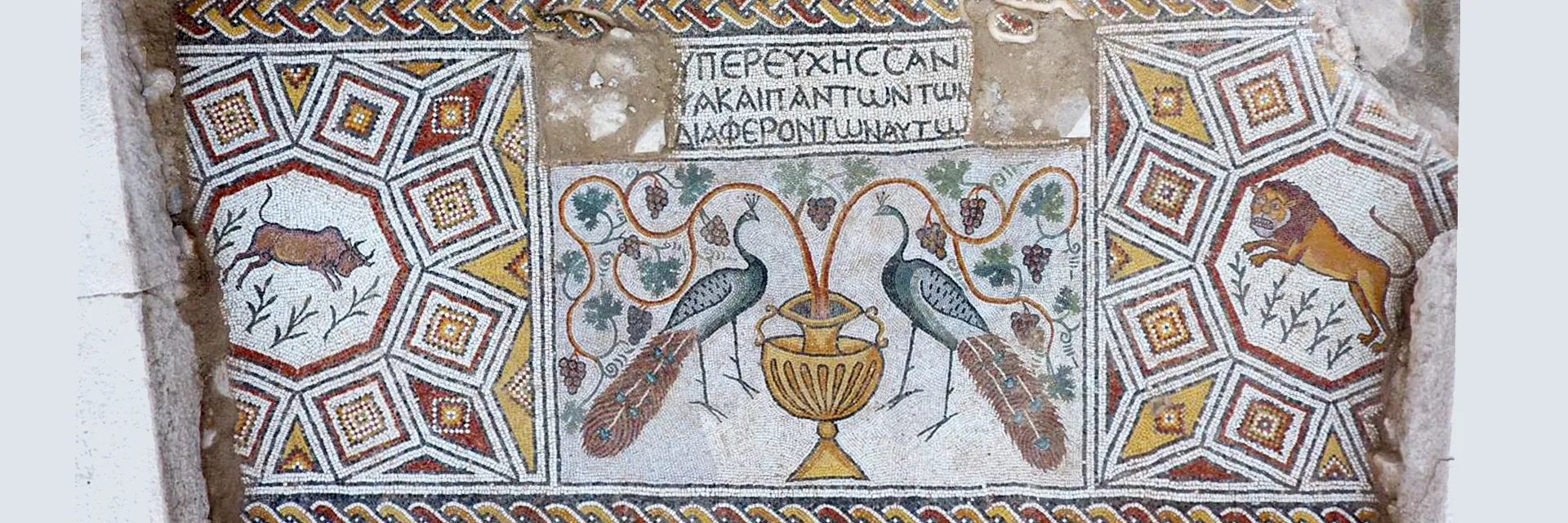 ÇEKÜL Çarşamba Kent Toplantıları Devam Ediyor