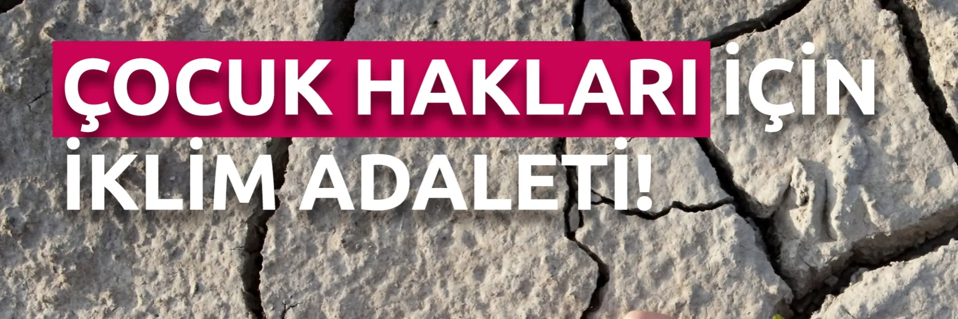 Daha Adil, Sürdürülebilir ve Doğayla Uyumlu Bir Gelecek