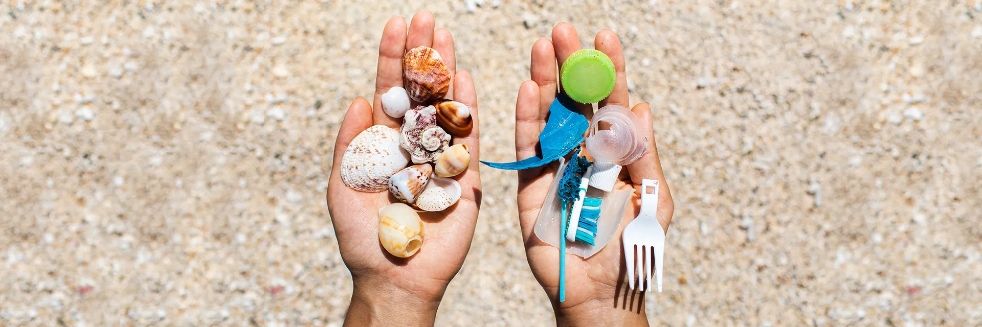 Dünya Çevre Gününde Plastiksiz Bir Yaşam Seç