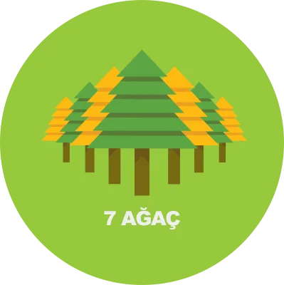 7 Ağaç