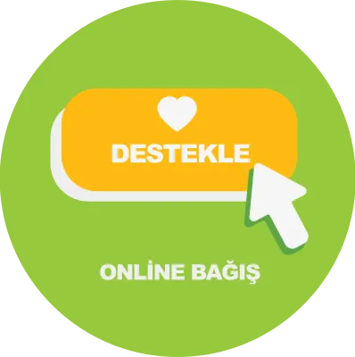 Online Bağış