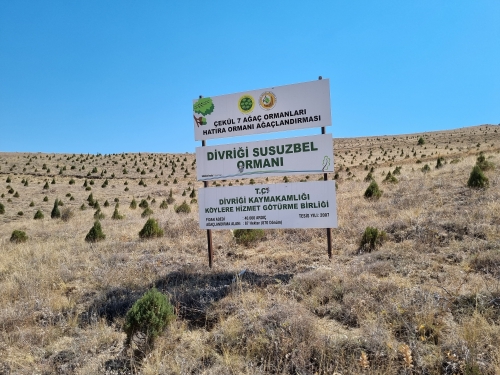 Sivas, Divriği / Susuzbel Sahamız:  
