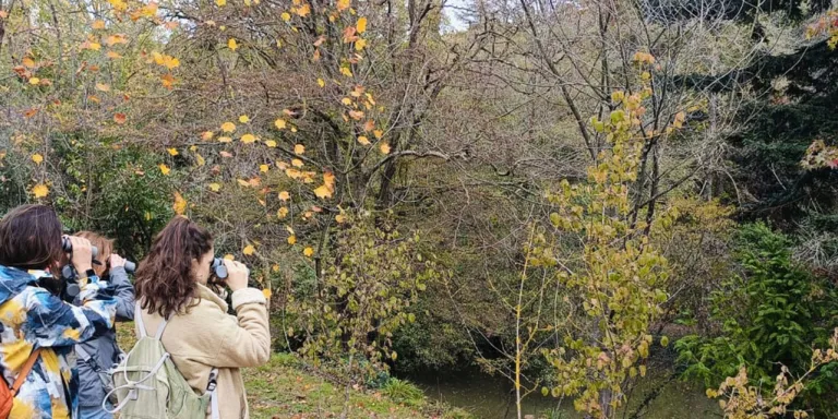 Doğayla Buluş, Geleceğe İmzanı At: ÇEKÜL Bilgi Ağacı Eğitmeni Ol!