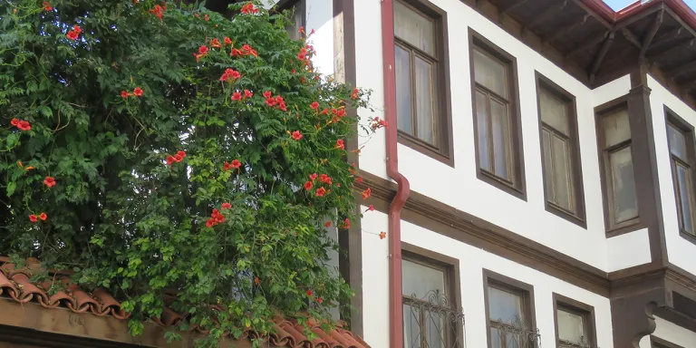  Kastamonu’da Tarih ve Kültür Koruma Eğitimi: Geçmişten Geleceğe Bir Bağ 
