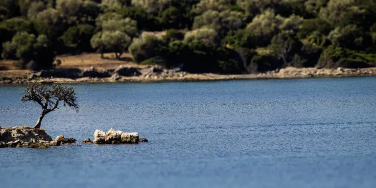 Barış Konor’un "Tek ve Hür" Adlı Kişisel Fotoğraf Sergisi, ÇEKÜL Vakfı 7 Ağaç Ormanları Programına Destek Oluyor