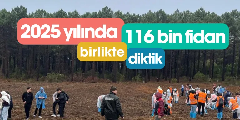 ÇEKÜL vakfı bir yılda 116 bin fidan dikti