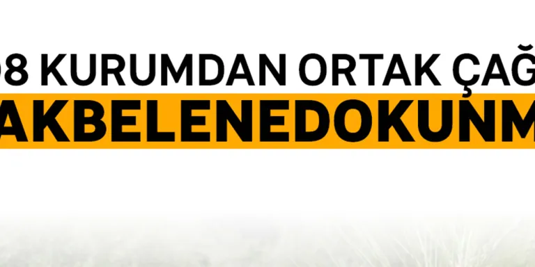 308 Kurumdan Ortak Açıklama: Akbelen Ormanındaki Abluka Kaldırılsın, Kesim Kararı Durdurulsun!