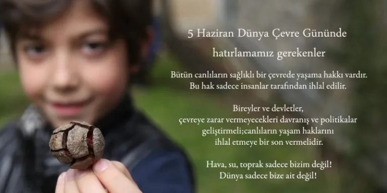 Çevre gününde hatırlamamız gerekenler