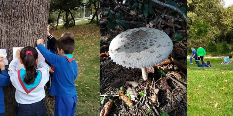 “Ağaçların Diliyle Kentim” Anadolu’yla Buluştu!