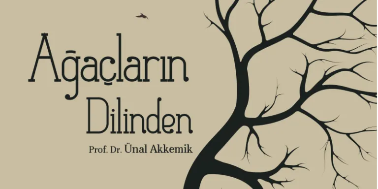 Ağaçların Dilinden kitabı yayımlandı