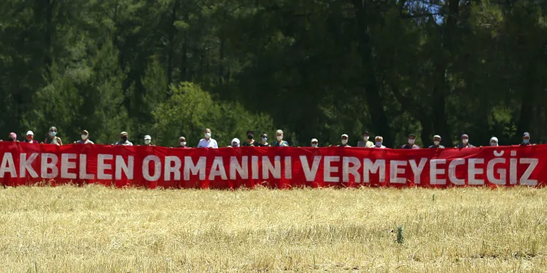 Akbelen Ormanı’nın Korunması İçin Sivil Toplum Kuruluşlarından Ortak Çağrı!