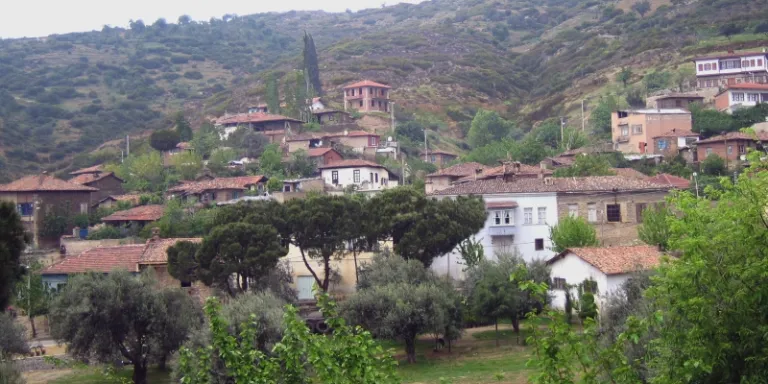 Birgi 2011 Çalıştayı 2 Eylül’de başlıyor!