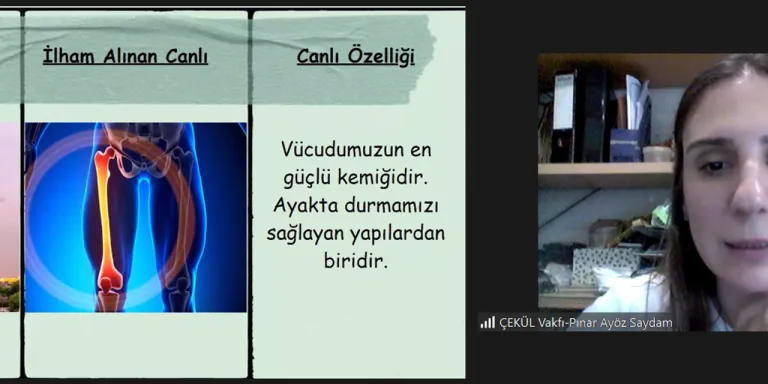 ÇEKÜL Bilgi Ağacı Biyomimikriyi Anlatıyor