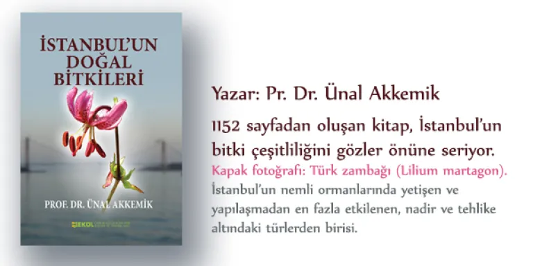 İstanbul’un Doğal Bitkileri