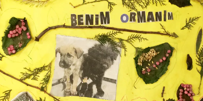 Doğadan öğrenen çocuklardan sergi