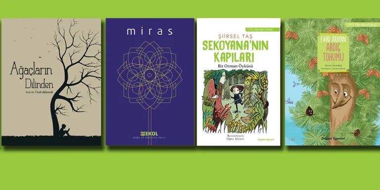 Doğaya, Kültüre ve Derin Düşünmelere Rehberlik Etsin Diye