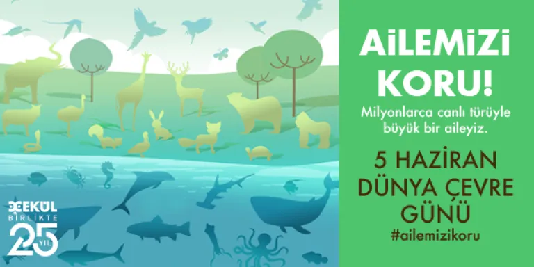5 Haziran Dünya Çevre Günü