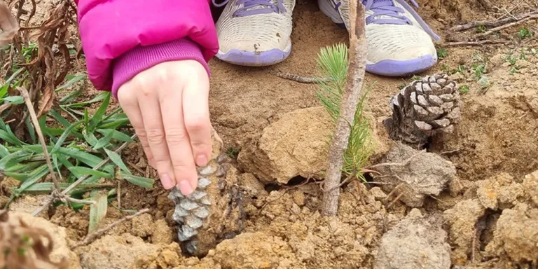 Fidanlar Toprakla Buluşuyor