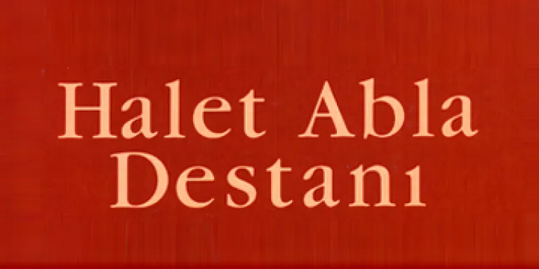 Bir Vali&#039;den 21.Yüzyıl Destanı: Halet Abla
