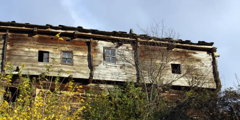 Bakırlı Zaviye köyünde hareket