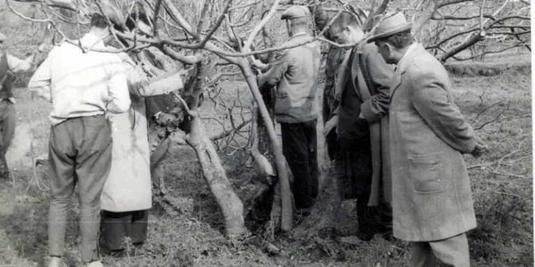 İncirliova&#039;da Koruma için İlk Adımlar