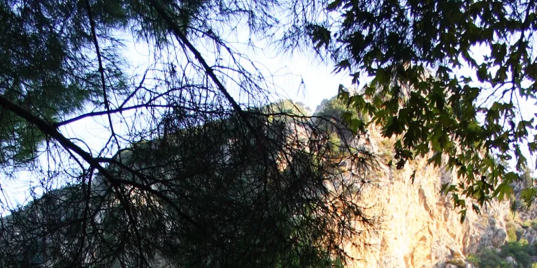 Olympos Antik Kenti edebiyatçıları buluşturdu