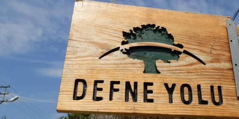 Defne ağaçlarının arasında yürümek