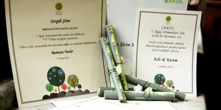 7 Ağaç için yeni sertifikalar