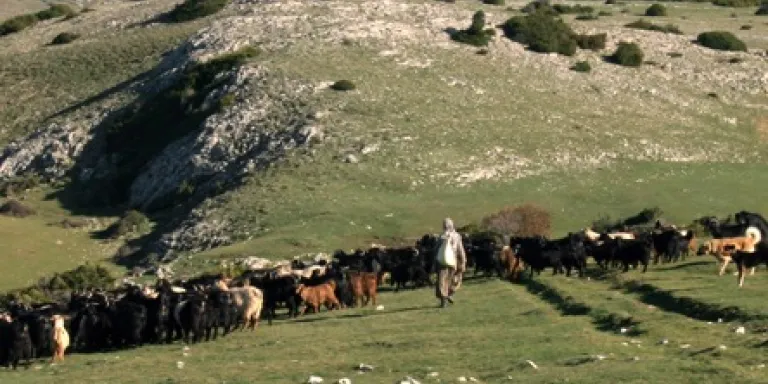 “Havza Ölçeğinde Koruma Birlikleri” Safranbolu’da Konuşulacak