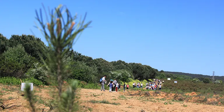 ÇEKÜL Vakfı ve doğa dostları 92 Ormanında baharı karşıladı