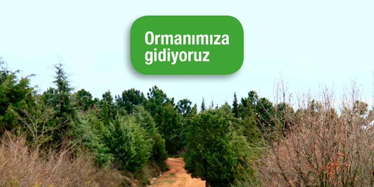 92 Ormanımıza gidiyoruz