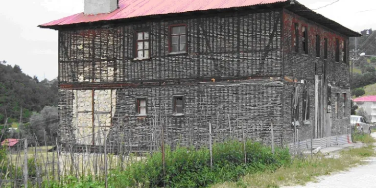 Kardeşçe, Özgürce, Yeşilce
